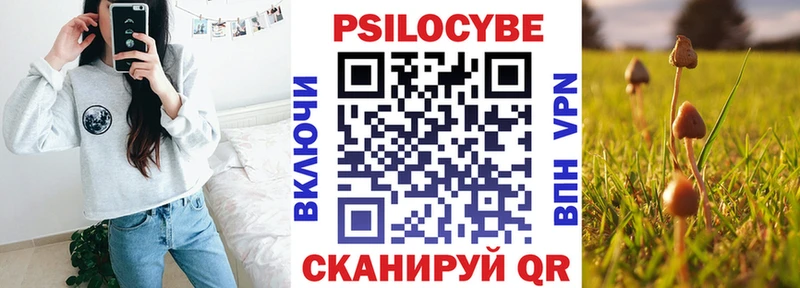 Галлюциногенные грибы Psilocybine cubensis  Купить где  Верхнеуральск 